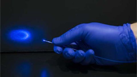 Light—not pain-killing drugs—used to activate brain’s opioid receptors
