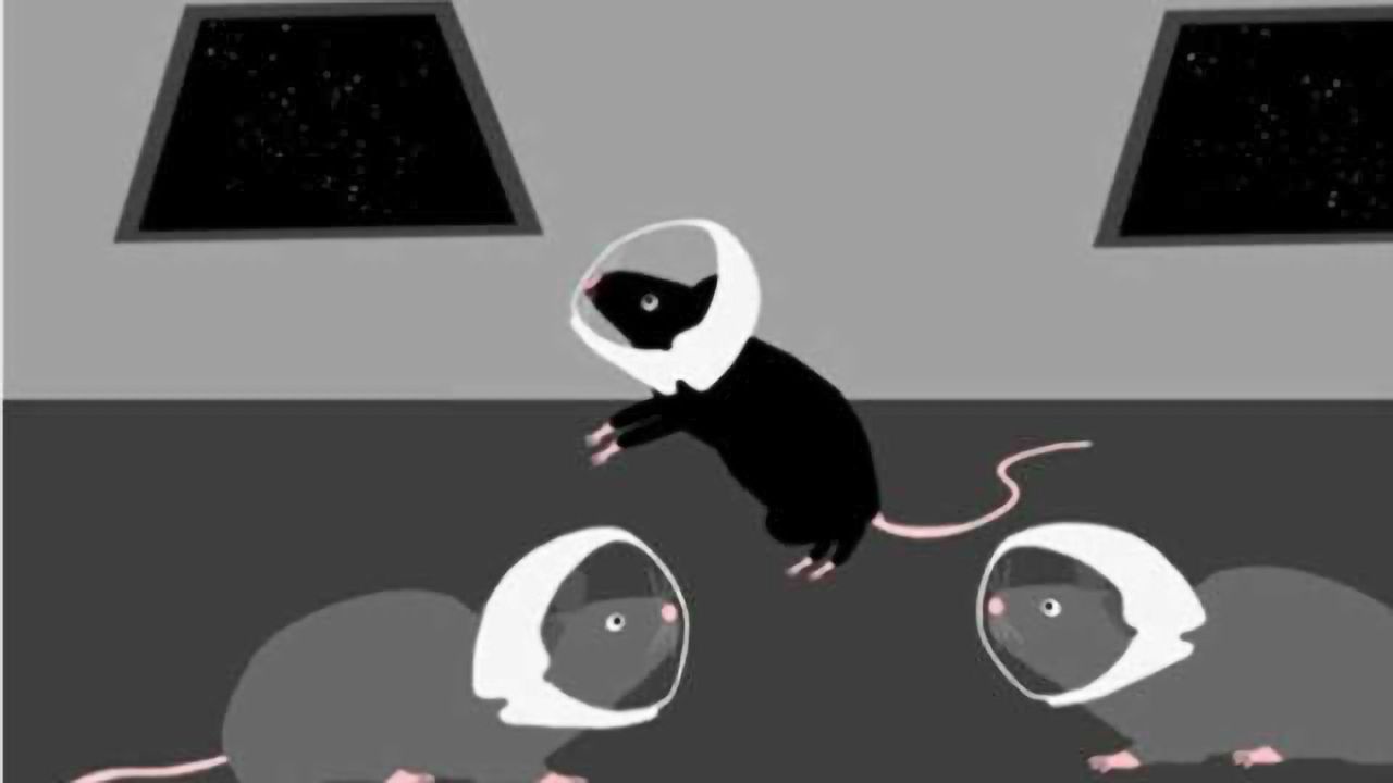 Long-term galactic cosmic ray exposure leads to dementia-like cognitive impairments