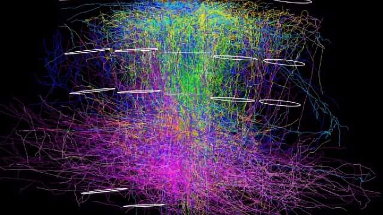 3D reconstruction of neuronal networks provides unprecedented insight into organizational principles of sensory cortex
