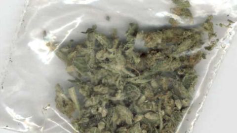 The dark side of cannabis: Risks associated with non-medicinal use