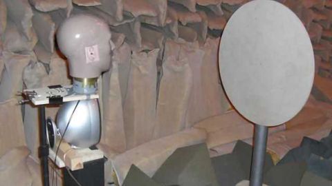 ‘Make like a bat’: study finds two ears attuned to high frequencies help us find objects using echoes