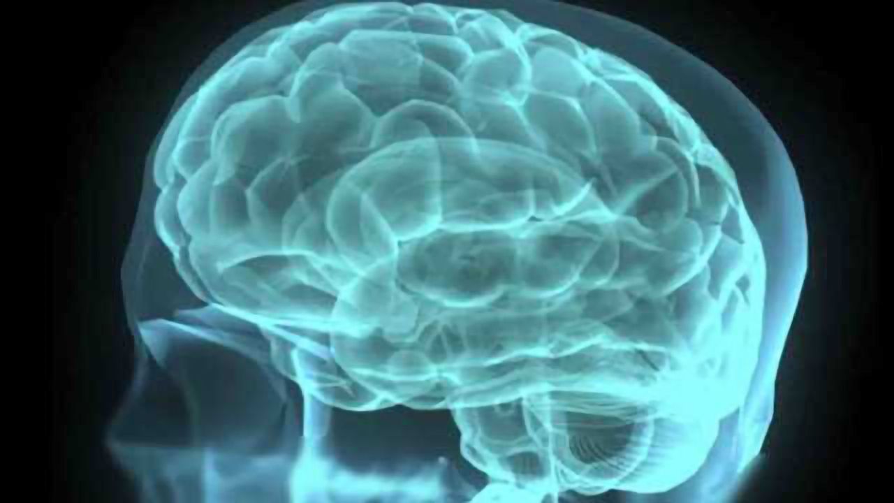 Brain area that integrates speech’s rhythms found