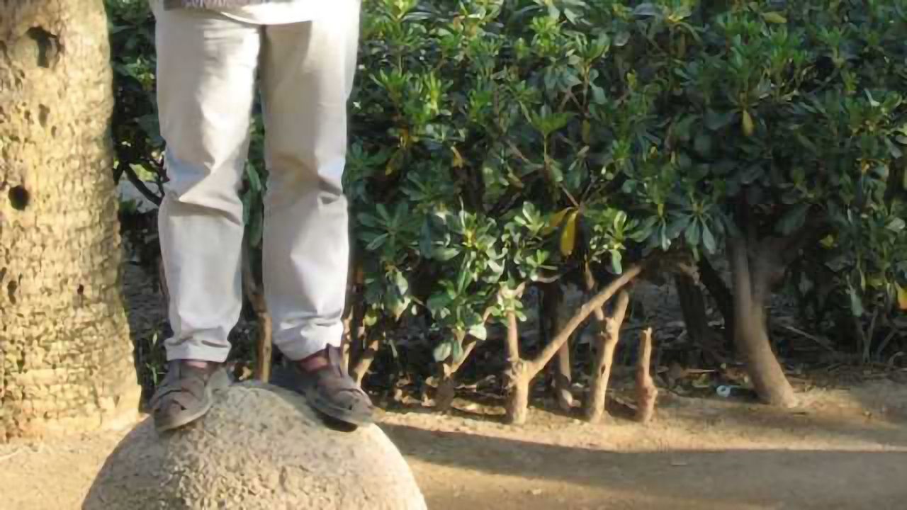 Scientists identify cause of movement, balance problems in multiple sclerosis