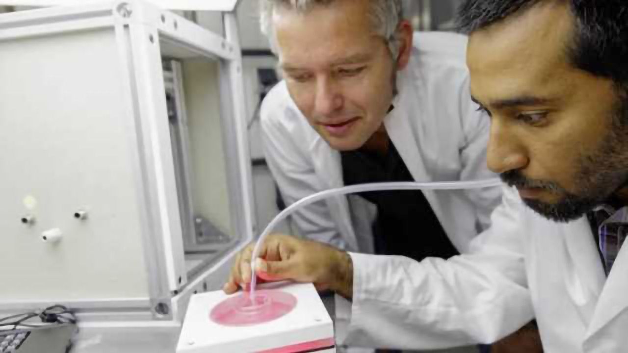 One simple molecule regulates sexual behavior in Drosophila