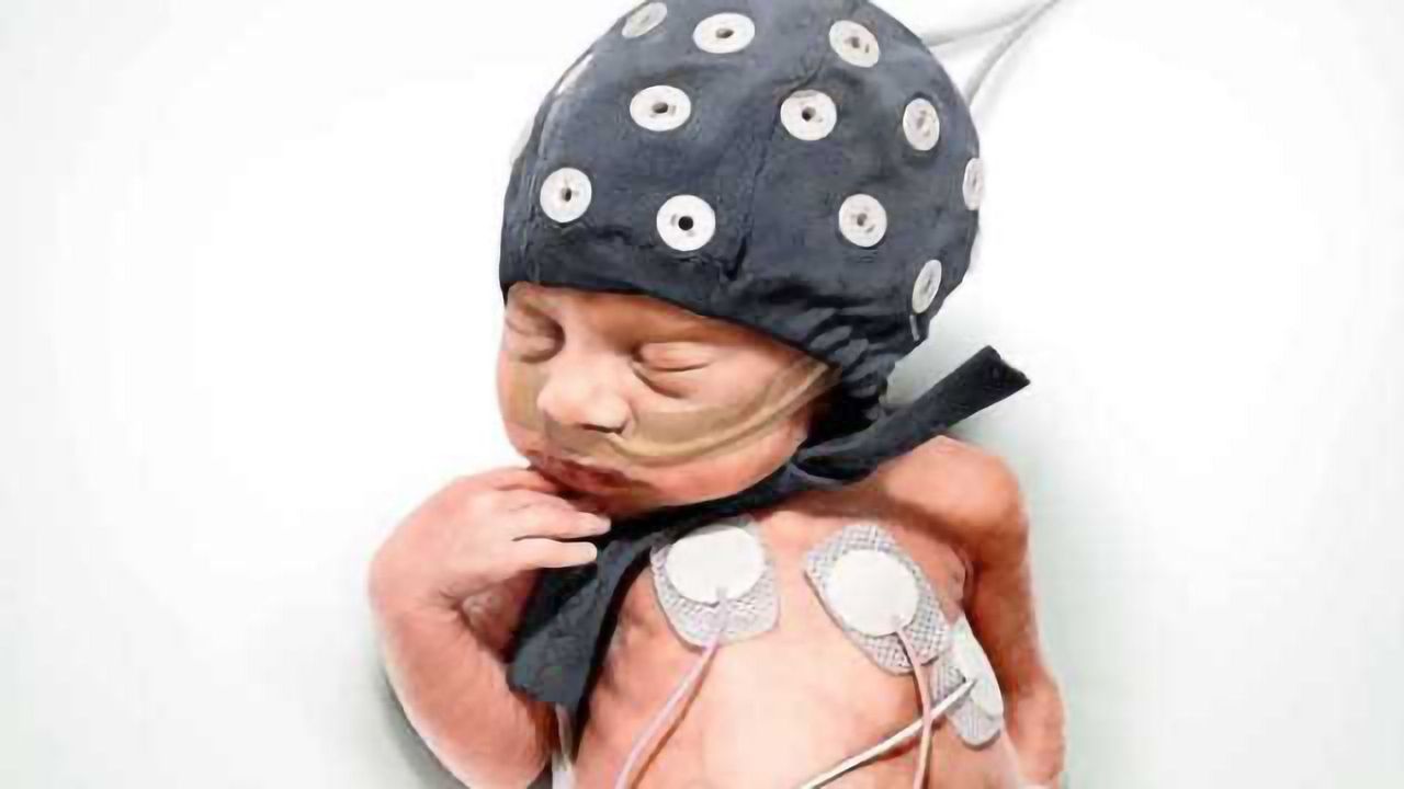 Earthquakes - an unexpected help in interpreting the brain activity of premature babies