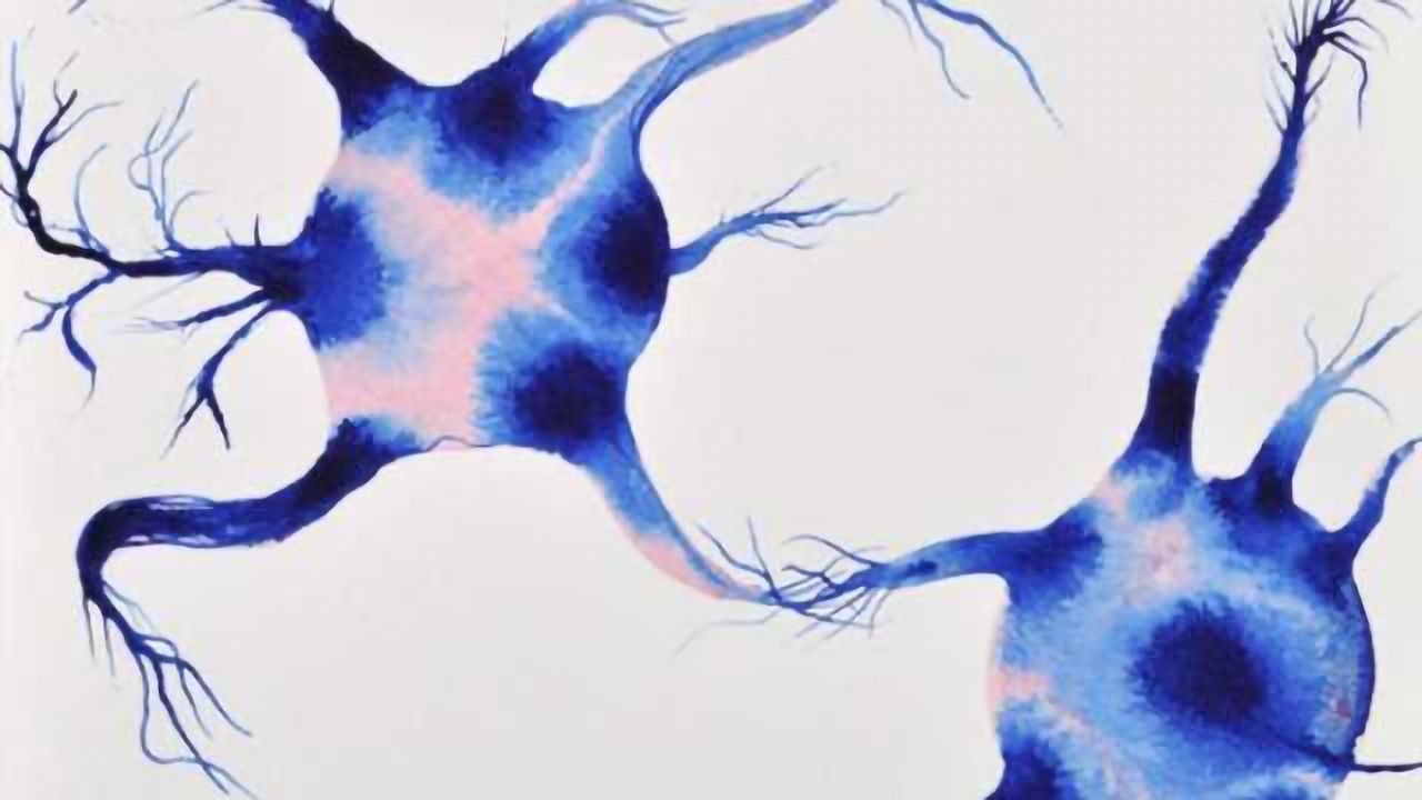 New insights could result in changes to the therapeutic strategy to combat Alzheimer’s