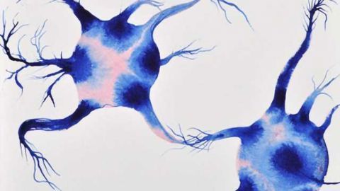 New insights could result in changes to the therapeutic strategy to combat Alzheimer’s