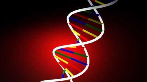 Researchers unravel a link between a genetic mutation and autistic behaviors - and then find a way to undo it