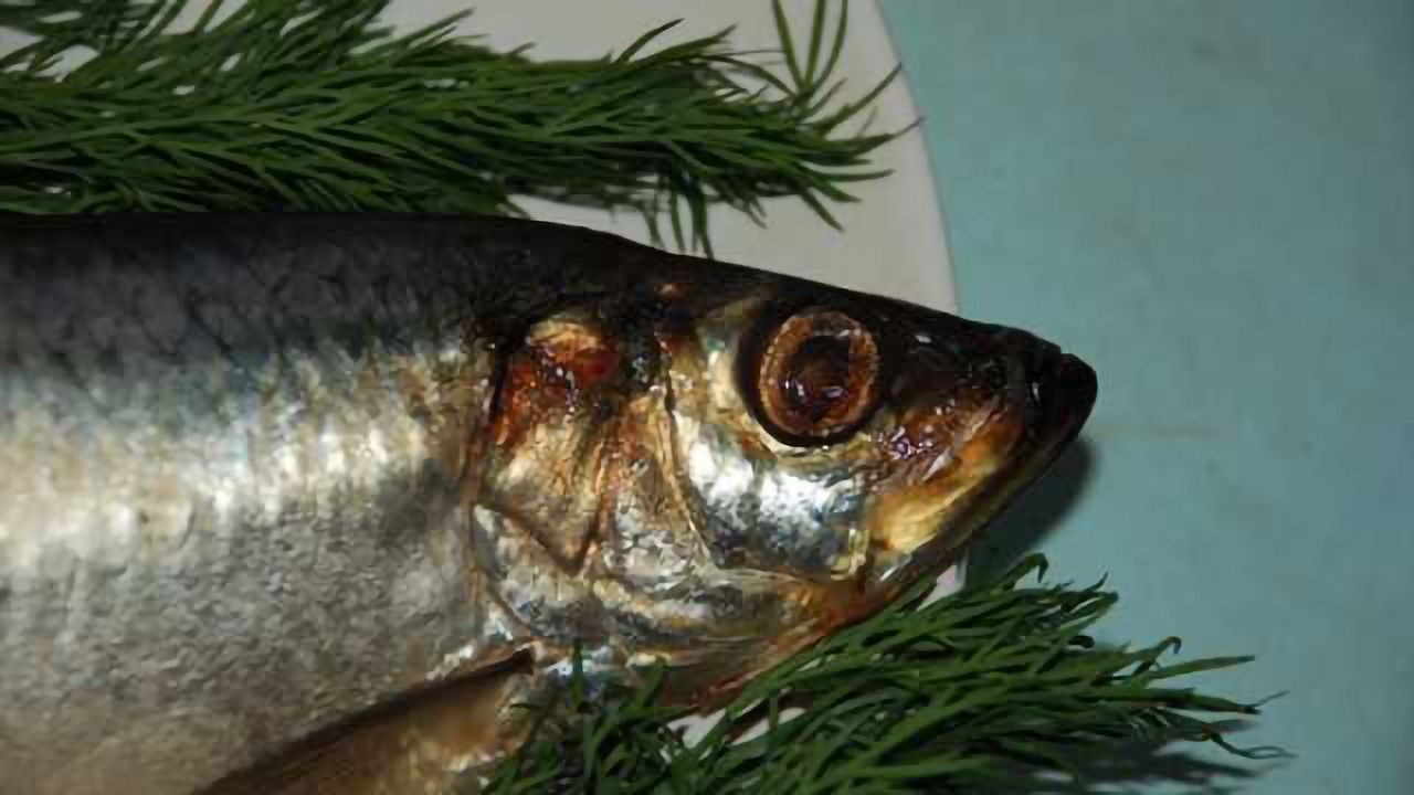 Neurotoxin found in commercial seafood