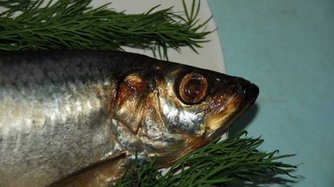 Neurotoxin found in commercial seafood