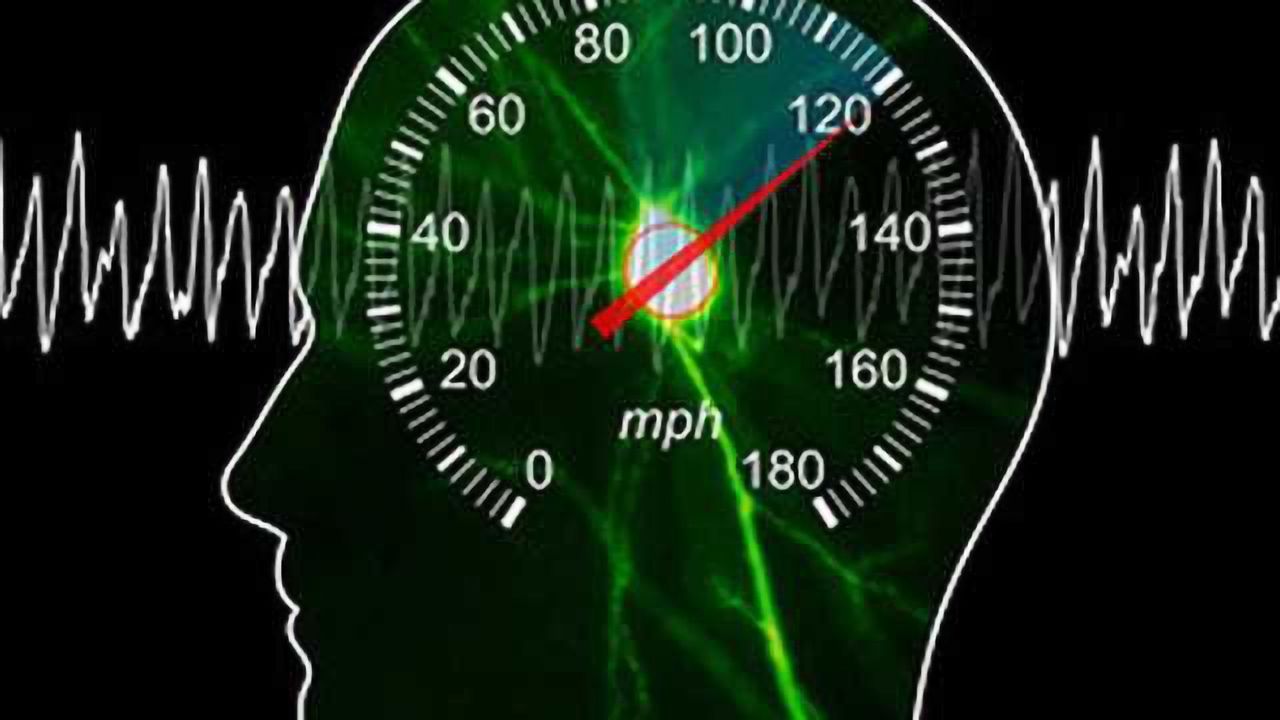 Researchers find speedometer in the brain