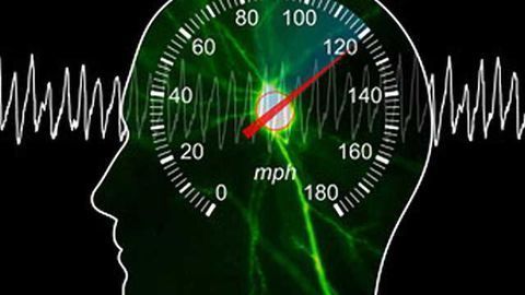 Researchers find speedometer in the brain