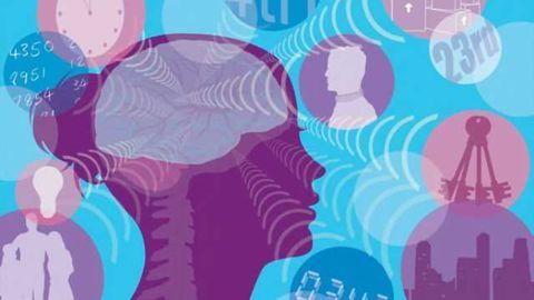 Scientists find that growth factors that build brains also build memories