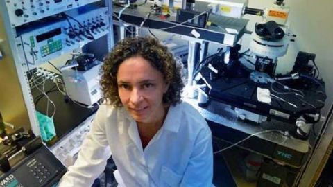Astrocytes help blood vessels in the brain keep a grip on a healthy tone