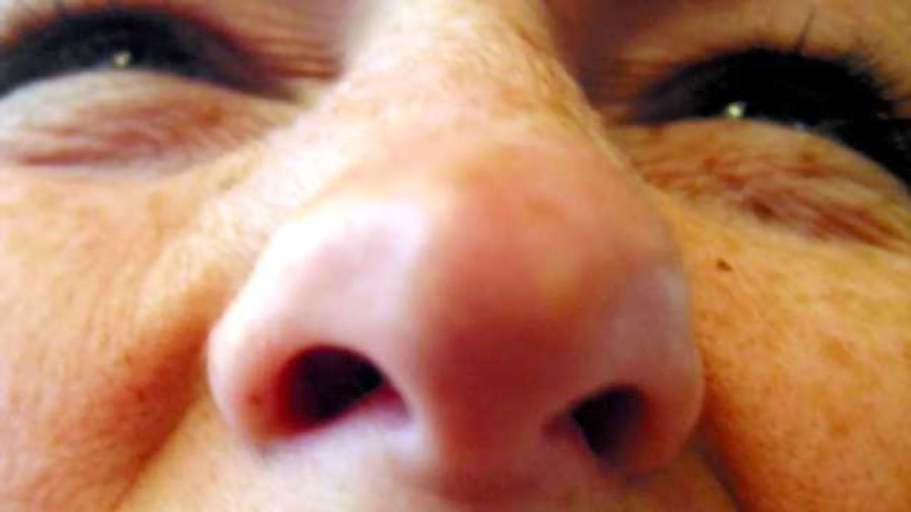 Humans’ built-in GPS is our 3-D sense of smell