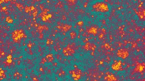 Solving the next step in the mystery of prions