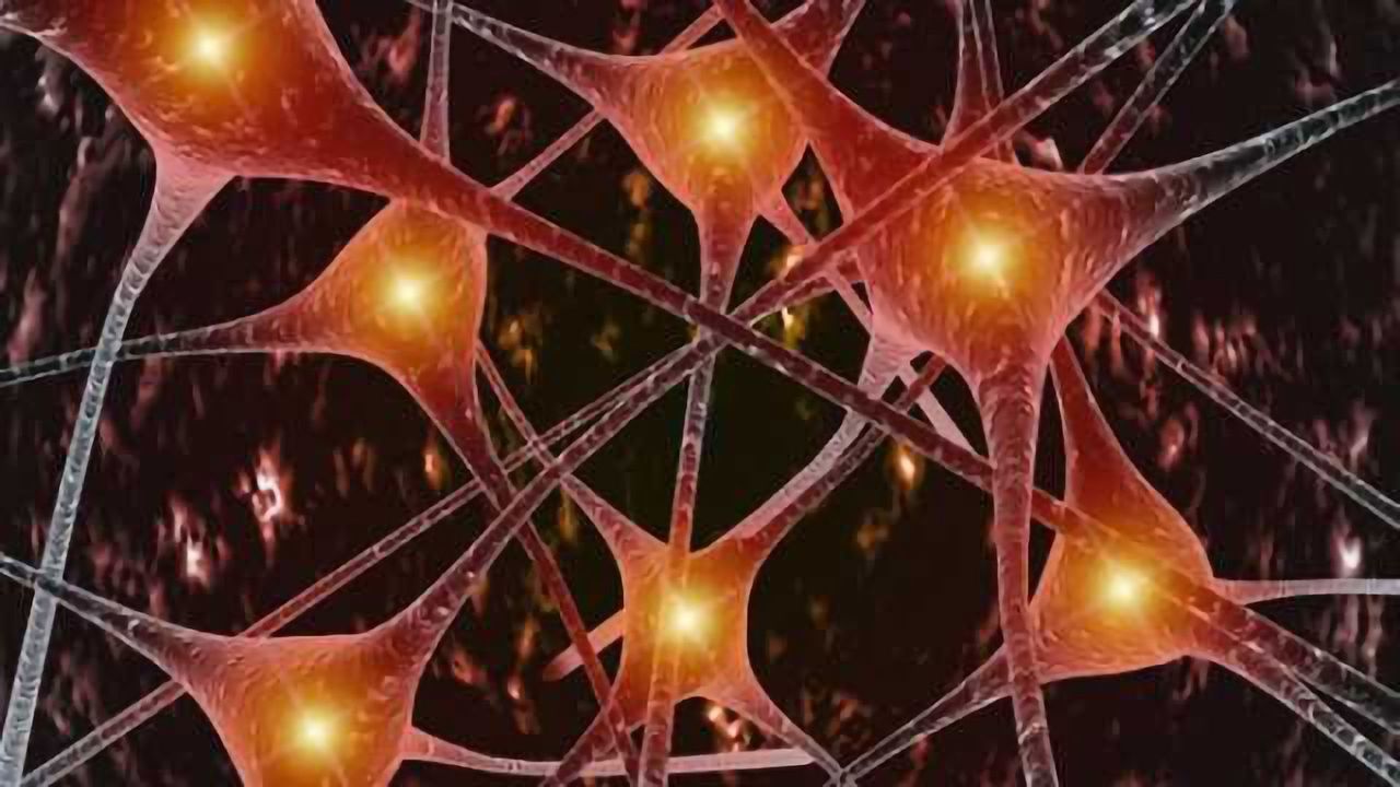 Brain scan can predict who responds best to certain treatment for obsessive-compulsive disorder