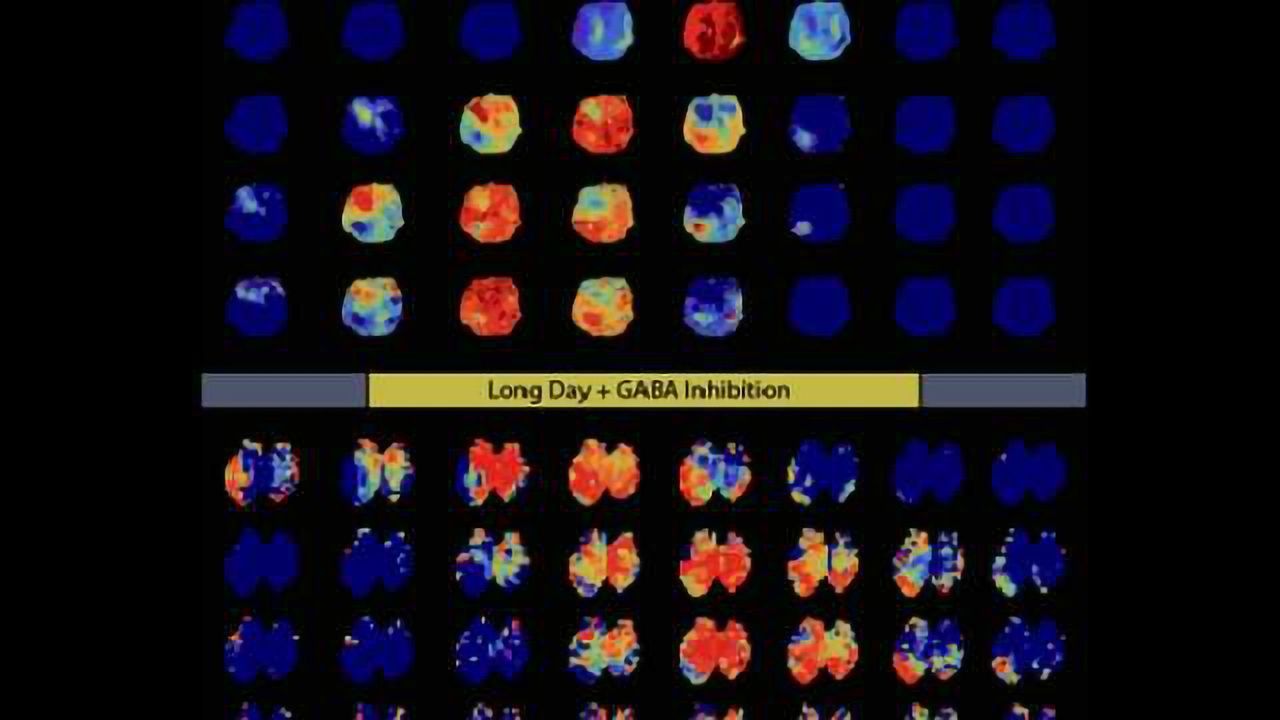 How your brain knows it’s summer