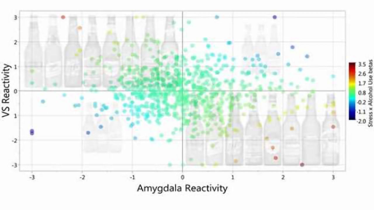 Brain activity predicts promiscuity and problem drinking