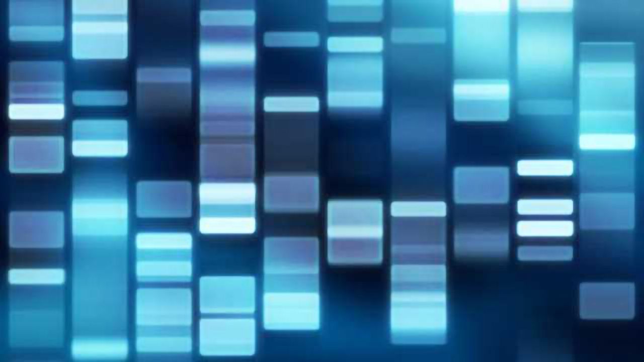 Research breakthrough to treat female-specific epilepsy