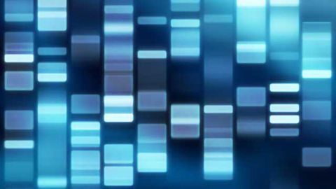 Research breakthrough to treat female-specific epilepsy
