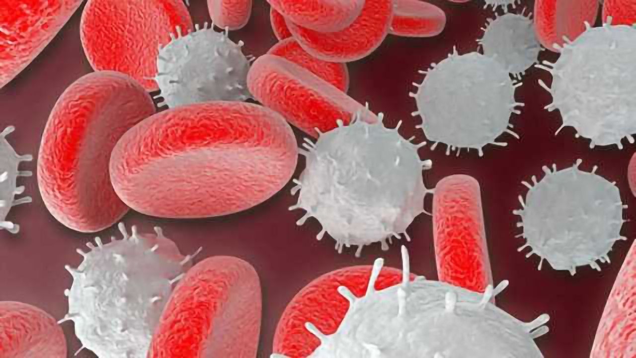 Enriched blood cells preserve cognition in mice with features of Alzheimer's disease