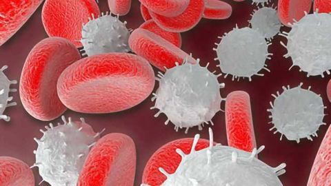 Enriched blood cells preserve cognition in mice with features of Alzheimer's disease