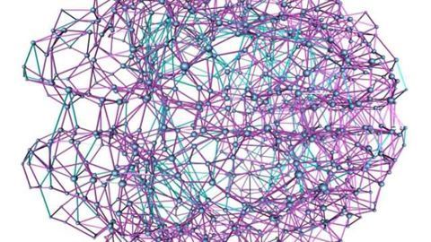 Researchers find the organization of the human brain to be nearly ideal
