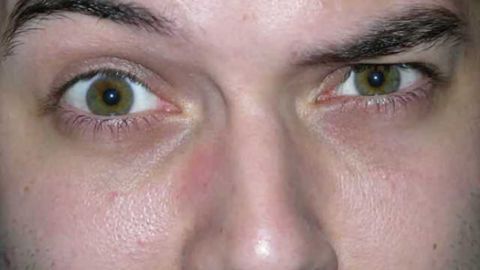 Researchers dispute 2014 claim that humans can distinguish 1 trillion odors