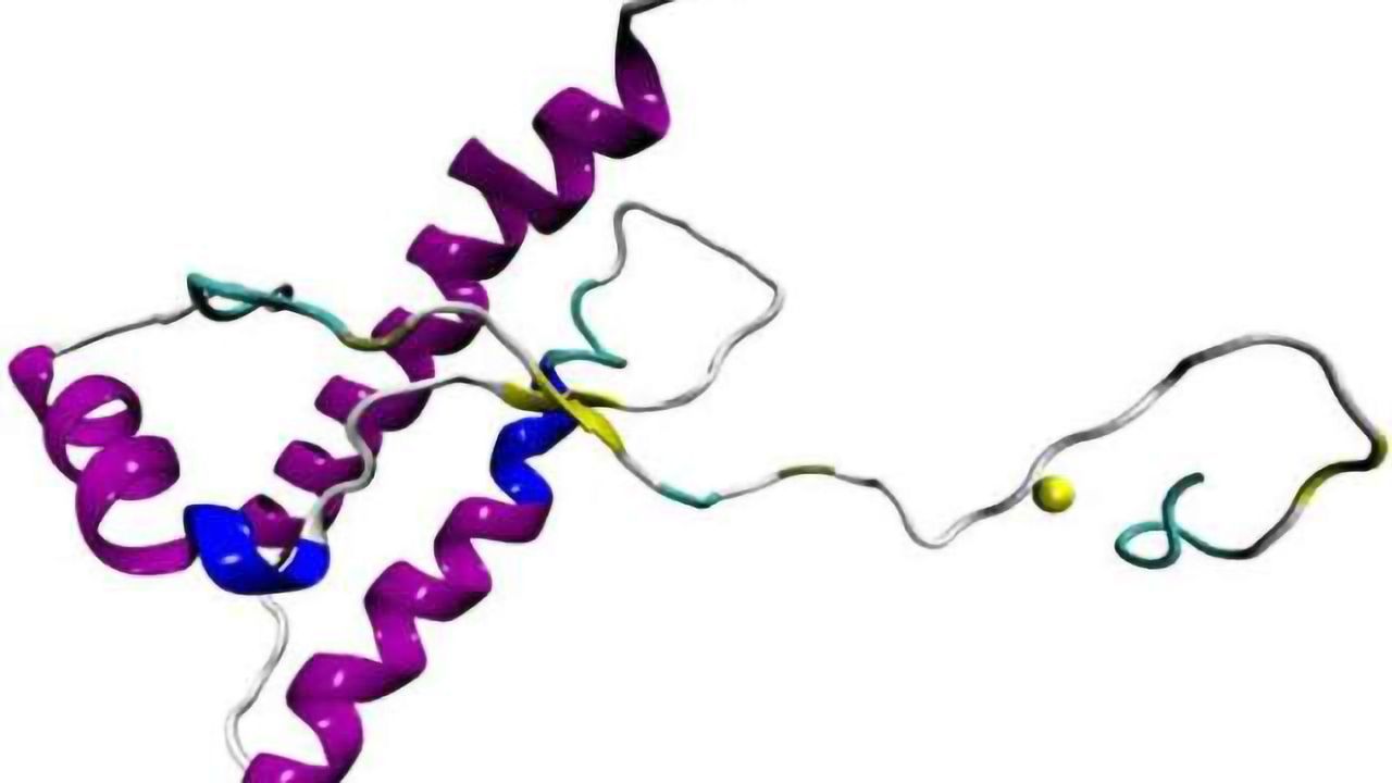 Prion protein protects against epilepsy