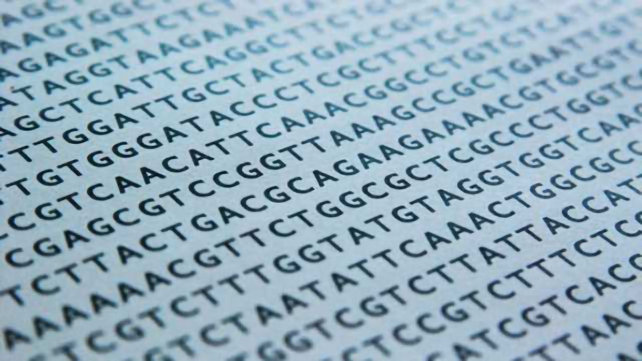 Rare genetic mutations occur more often in schizophrenia patients, researchers find