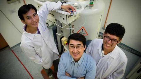 Potential treatment for Parkinson’s disease discovered