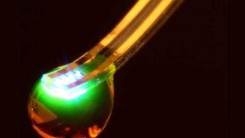 Futuristic brain probe allows for wireless control of neurons