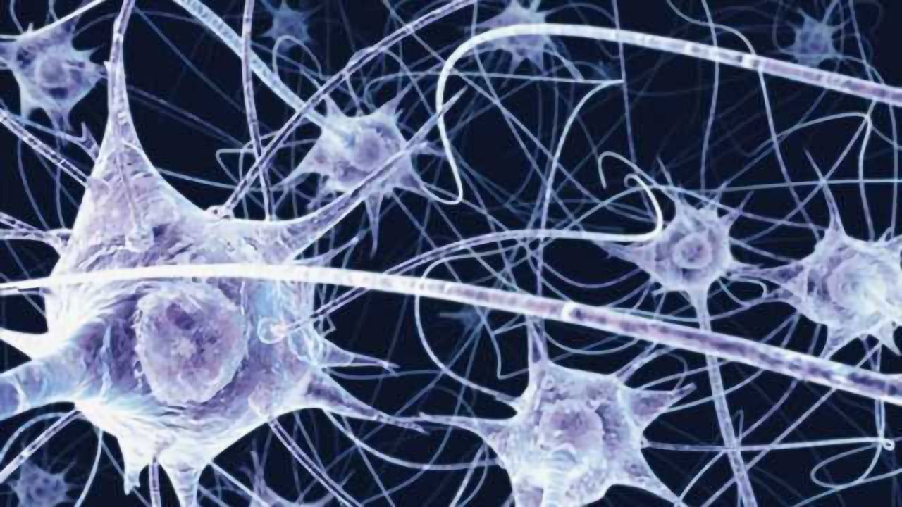 How neurons remember: A calcium-dependent mechanism of neuronal information storage