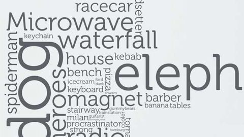 Words jump-start vision, study shows