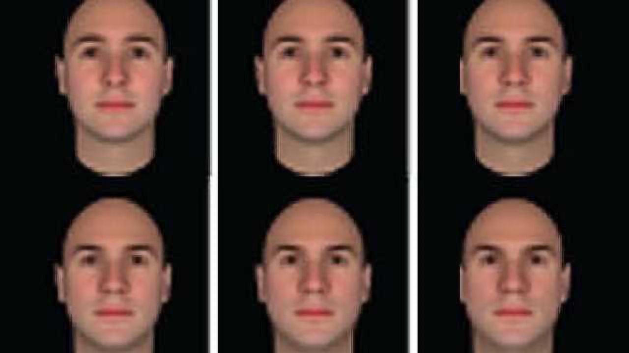 The sleep-deprived brain can mistake friends for foes