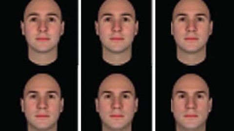 The sleep-deprived brain can mistake friends for foes