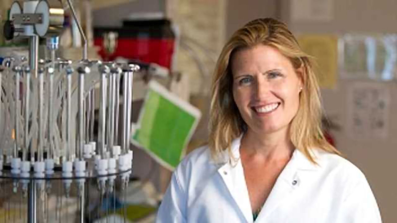 Low levels of hormone linked to social deficit in autism