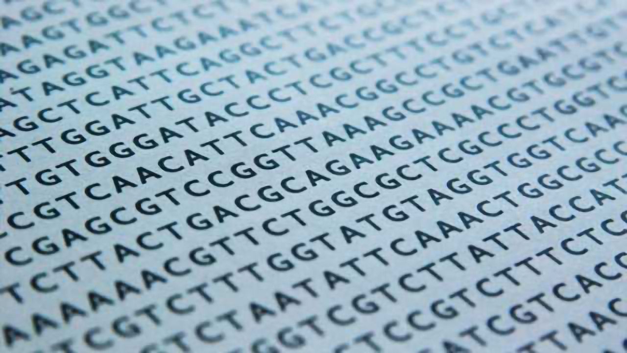 Scientists identify schizophrenia's 'Rosetta Stone' gene