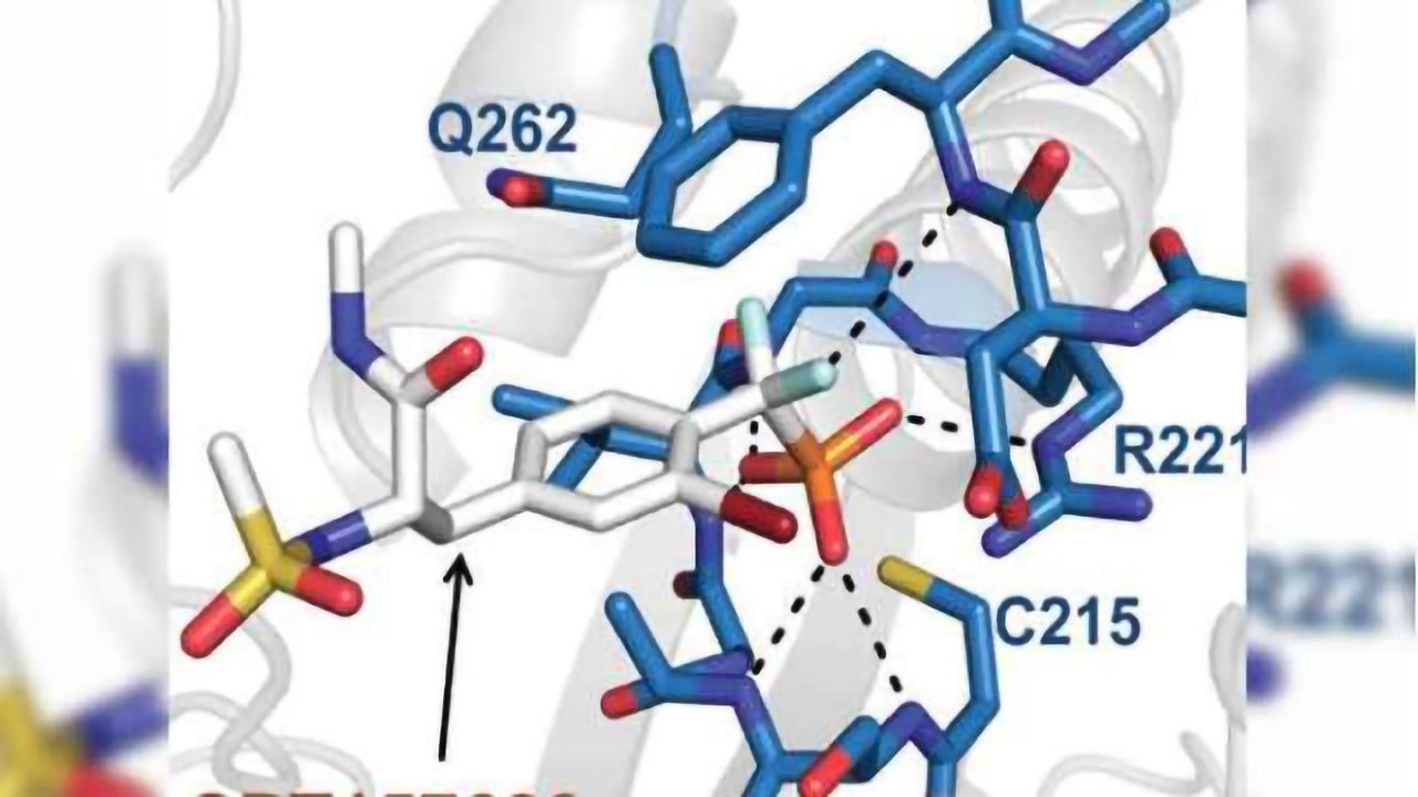 In mice, experimental drug treatment for Rett syndrome suggests the disorder is reversible