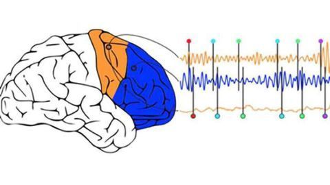 It don’t mean a thing if the brain ain’t got that swing