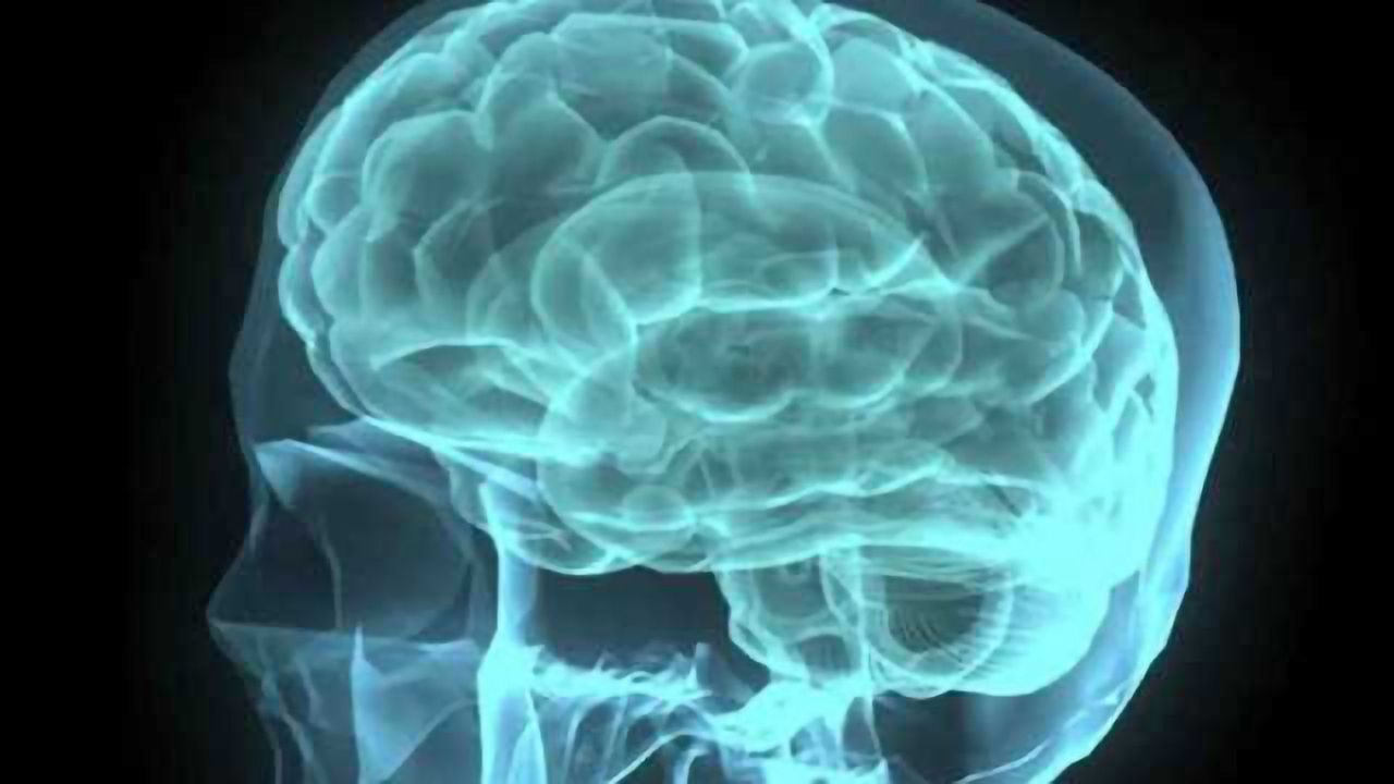 Trauma experiences change the brain even in those without PTSD