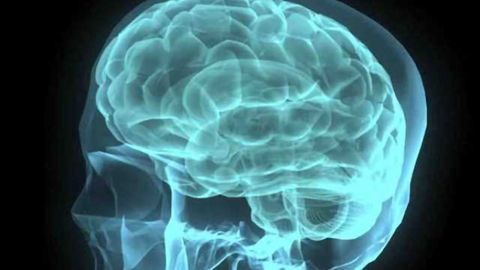 Trauma experiences change the brain even in those without PTSD
