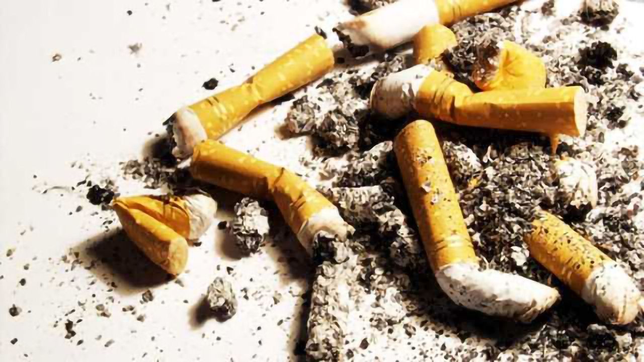 Nicotine-chomping bacteria may hold key to anti-smoking therapy