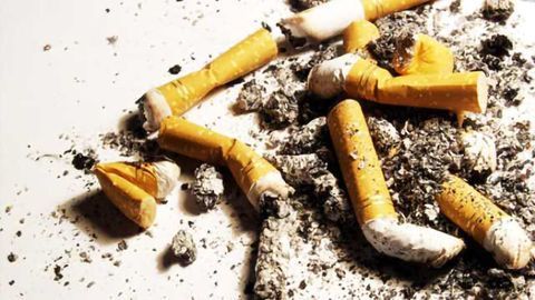 Nicotine-chomping bacteria may hold key to anti-smoking therapy