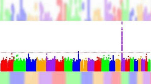Scientists adopt new strategy to find Huntington’s disease therapies