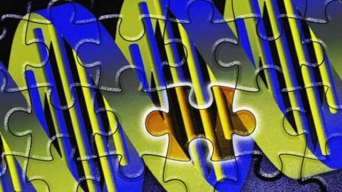 Scientists pinpoint how a single genetic mutation increases autism risk