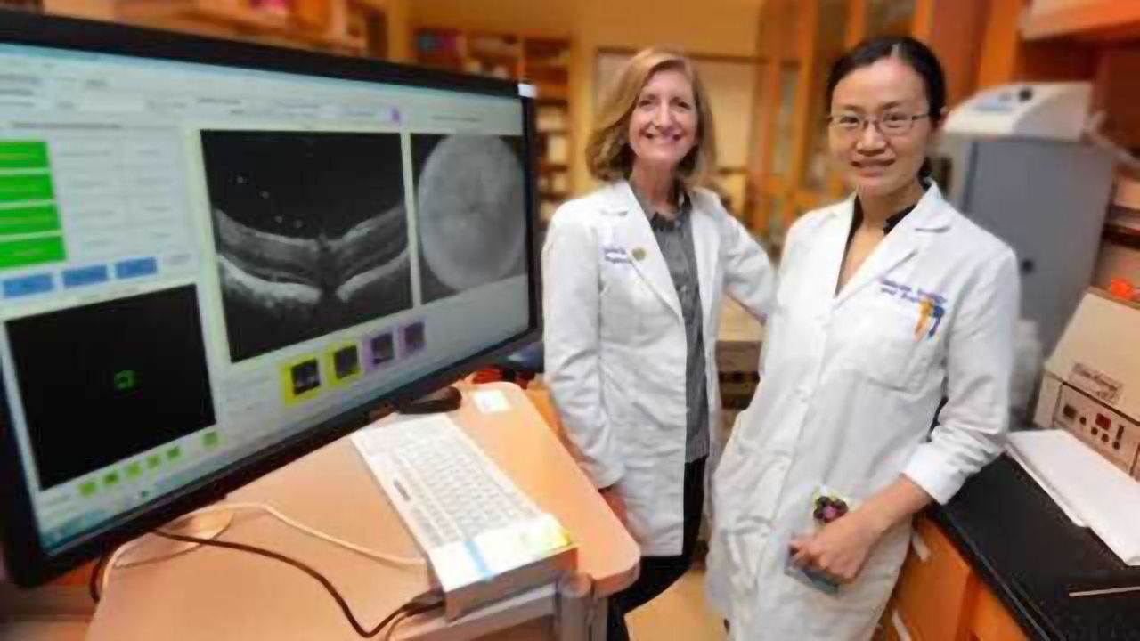 Receptor that helps protect brain cells has important role in support cells for the retina