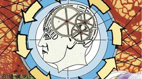 Study identifies cause of disruption in brain linked to psychiatric disorder