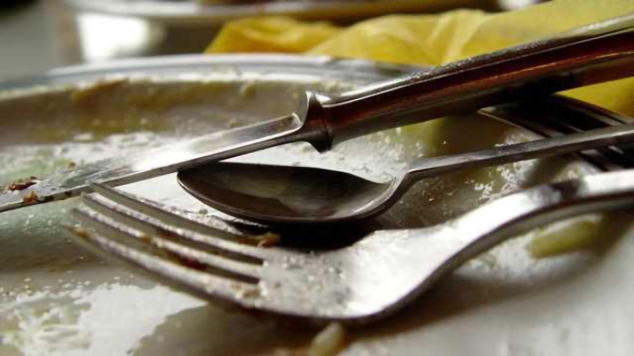 Effect of presymptomatic BMI, dietary intake, alcohol on ALS